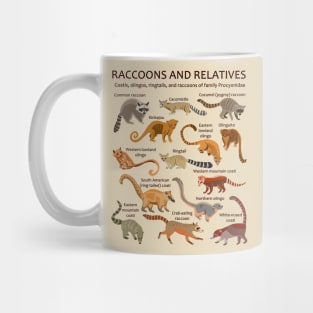 Raccoons and relatives: Coatis, olingos, ringtails, and raccoons (light background) Mug